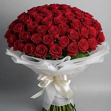 Букет 101 Красная роза Блэк Мэджик в Судаке