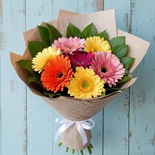 Букет цветов из:  Герберы #REPLACE_PRED# Судаке