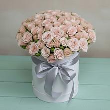 Цветочная композиция из Розы в шляпной коробке #REPLACE_PRED# Судаке