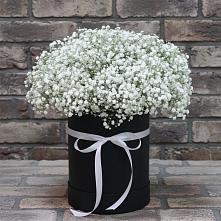 Цветочная композиция из Гипсофила в шляпной коробке в Судаке