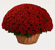 Премиум букет из: Розы в Судаке